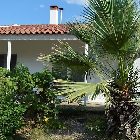 Litochoro apartment in estate Exterior foto